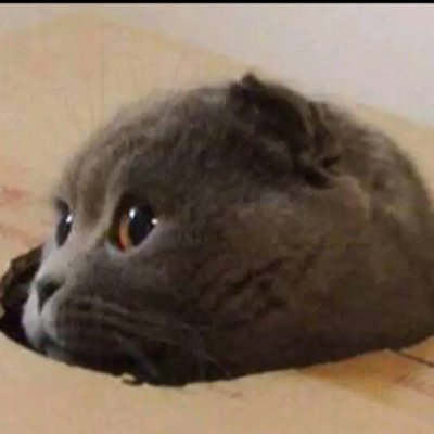 picked_v's profile picture. 