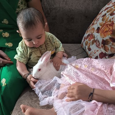 CryptoRiyansh's profile picture. 