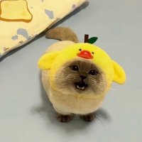 roskot (@roskotfn) 's Twitter Profile