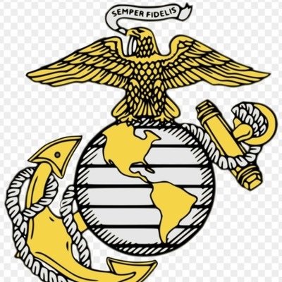 Common sense is an uncommon virtue. Stupidity is not sustainable. There are only two sexes. War is a Racket. Constitutional conservative. USMC 3510