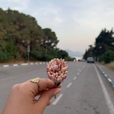 Pearlistaa's profile picture. 🇹🇳🍉