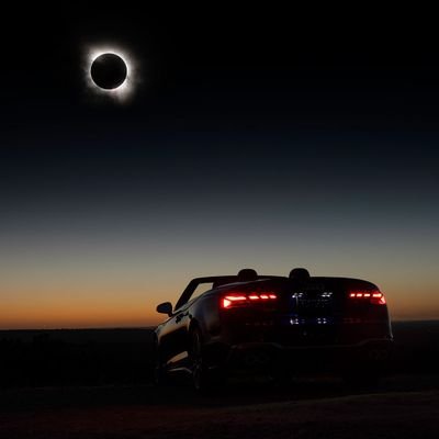 prodevvs's profile picture. Next js developer
