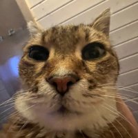 fireaxe (@fireaxe02) 's Twitter Profile