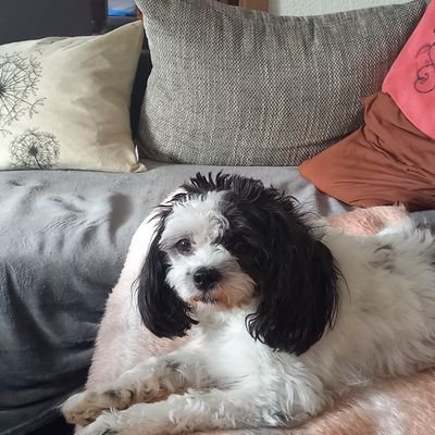 Larry0195438718's profile picture. 