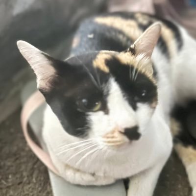 JKark8's profile picture. ขอเถอะ