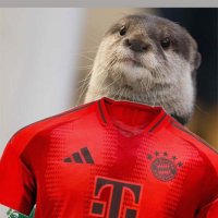 Bayern Supremacy 🦦(@BayernOtt3r) 's Twitter Profile Photo