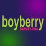 Boyberry