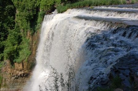 butchi18's profile picture. P & C Insurance Industry