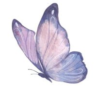 Amanda (@sinclairesystem) 's Twitter Profile