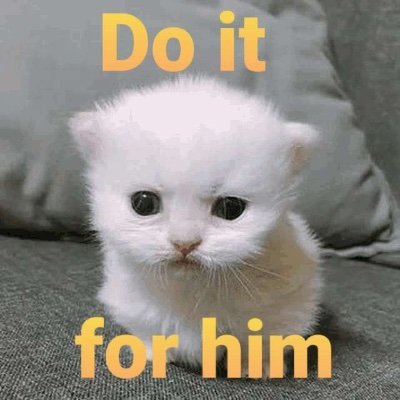 Zorark4567's profile picture. (he/him), John,🍀,