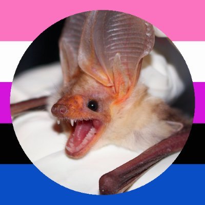 🏳️🌈 🇧🇷 / 19yo - Werehog Number 1 Fan 🐺🦔
DO NOT REUPLOAD/COPY/TRACE MY ART ⚠️