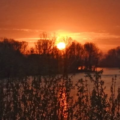 Просто фан Доктора кто, как классики так и ньюскула, обожаю все, что связано с сериалом😏