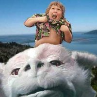 Goose (@gooooooooo0se) 's Twitter Profile