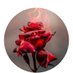 Joey Burns (@burnsjoey) Twitter profile photo Joey Burns (@burnsjoey) Twitter profile photo