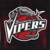 RGV Vipers (@RGVVipers) Twitter profile photo