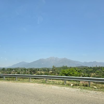 saloniparyani19's profile picture. 