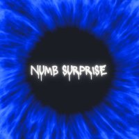 Numb Surprise(@SurpriseNu72480) 's Twitter Profileg