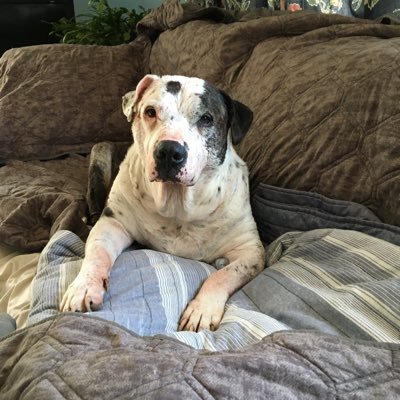 jhohern's profile picture. 