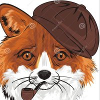 Cazador DeZorros 🇻🇪🇨🇺🇳🇮🇷🇺🇨🇳🇲🇽🇵🇸 (@cdzorro) 's Twitter Profile Photo Cazador DeZorros 🇻🇪🇨🇺🇳🇮🇷🇺🇨🇳🇲🇽🇵🇸 (@cdzorro) 's Twitter Profile Photo