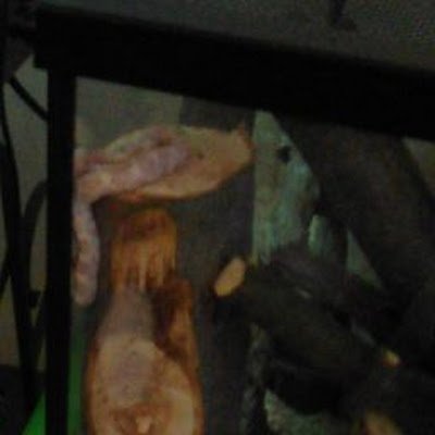 AlexanderM23559's profile picture. 