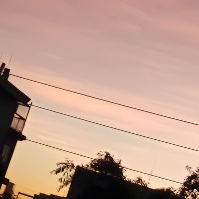 YuzhouRuqin's profile picture. 