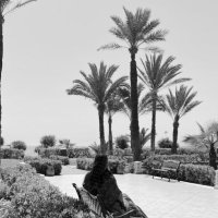 Eva Hedi (@eva_hedi) Twitter profile photo