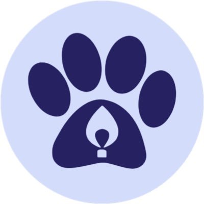 The official Twitter account for HuskyTHON, a yearlong fundraising effort at the University of Connecticut benefitting Connecticut Children's.