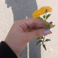 ᗩᗰᗴᖇᗩ (@amera_youssef12) 's Twitter Profile
