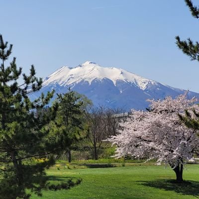 katya81785645's profile picture. this is my school acc, i dont use it much (: