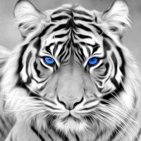 Coach Steve (@coachstevenson6) 's Twitter Profile Photo Coach Steve (@coachstevenson6) 's Twitter Profile Photo