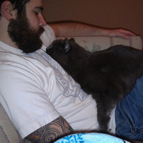 BrownWatartrash's profile picture. 