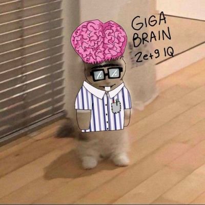 TheFupaHold's profile picture. The Best Fupa Hold Ever!
Retail Hold Too!
 A creator of Meme!