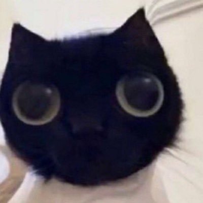 Hi I’m @puppygirlbrr ‘s alt because I keep getting limited