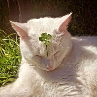 juampiii07's profile picture. 