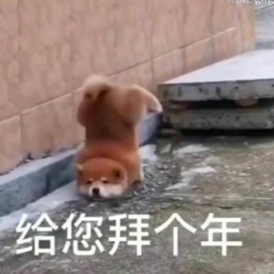 cnmdwsxh's profile picture. 是生物入门者，投机老亏货，不实干家，时常触发幻想时刻的一条咸鱼