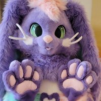 Bowie Bun (๐ฐ)๐FWA (@itsbowiebun) 's Twitter Profile Photo Bowie Bun (๐ฐ)๐FWA (@itsbowiebun) 's Twitter Profile Photo