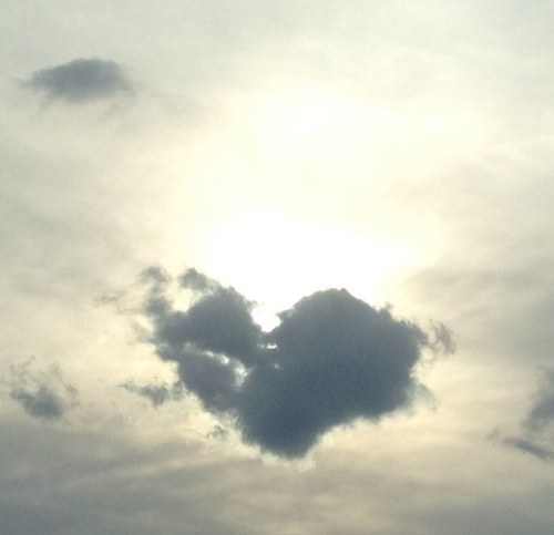 miinn18's profile picture. 