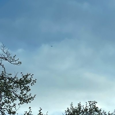 Applesandtea2's profile picture. 