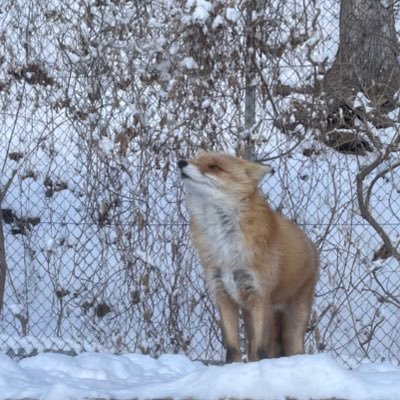 mitarashi_1030r's profile picture. 24/25🏴󠁧󠁢󠁳󠁣󠁴󠁿Glasgow→帰国🇯🇵/30↑/社会人留学/Sociology