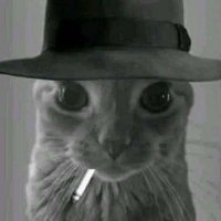 Alejandro García (@alejandro_973) 's Twitter Profile