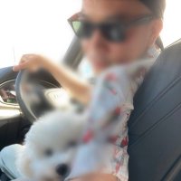 Y2.5 (@abcdether) 's Twitter Profile