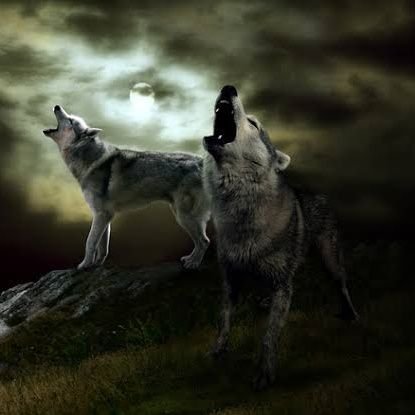 DeeGreenBoss's profile picture. Father, Husband, Real Estate Mogul