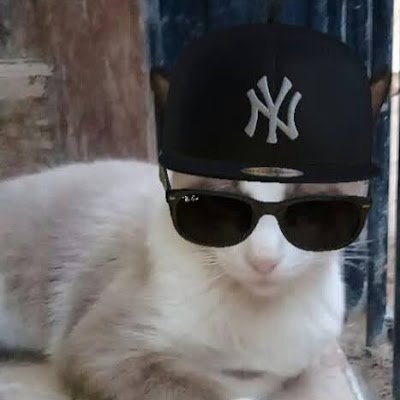 GarayAlan15775's profile picture. 