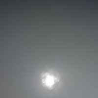 simbah mario (@fimbaymario) 's Twitter Profile Photo