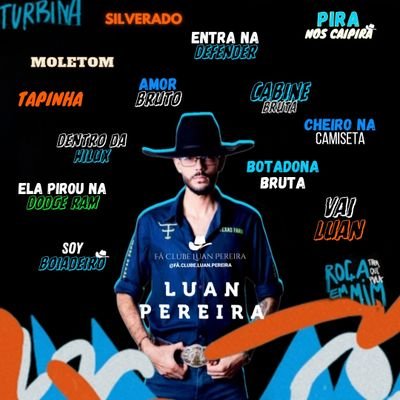 faclubeluanlp's profile picture. •FÃ CLUBE 
• + DE 315K NO TIK TOK