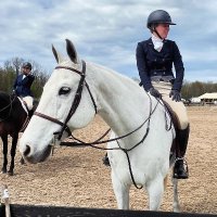 Heidi Hehnly-Chang (@lovelessradio) 's Twitter Profile
