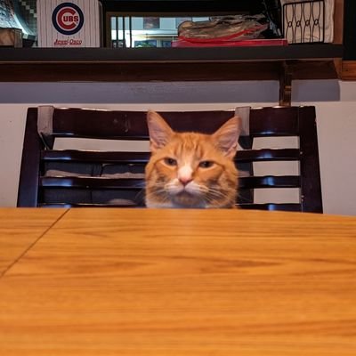 Norokai's profile picture. 