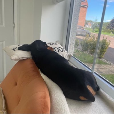 MsPepperPottt's profile picture. زن‌ زندگی آزادی