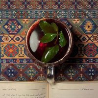 آنسه شاي (@vlll0y) 's Twitter Profile Photo