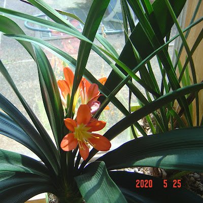 3nayako21's profile picture. 